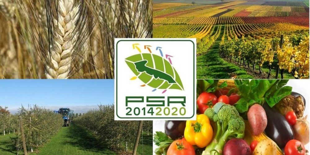 Bando Misura 6.1 – Aiuti all’avviamento di imprese per giovani agricoltori