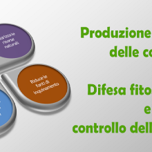 Regione Puglia: Norme di produzione integrata 2016